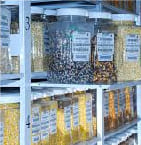 Seed Cold Storage